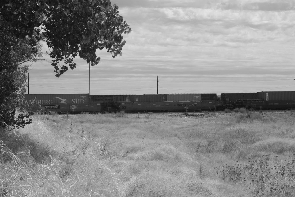 At the edge of a trainyard near Roseville, California.