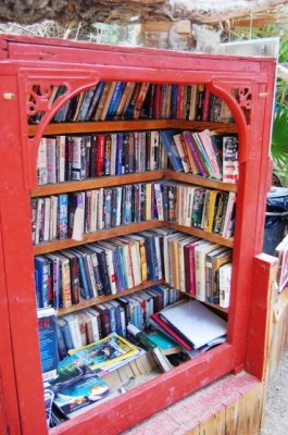 Saline Valley Lending Library